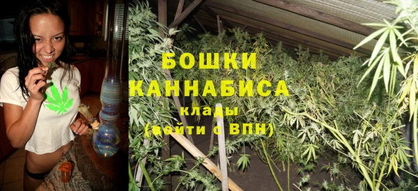 стафф Аркадак
