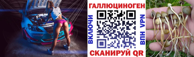купить наркотик  Котельниково  Галлюциногенные грибы мухоморы 